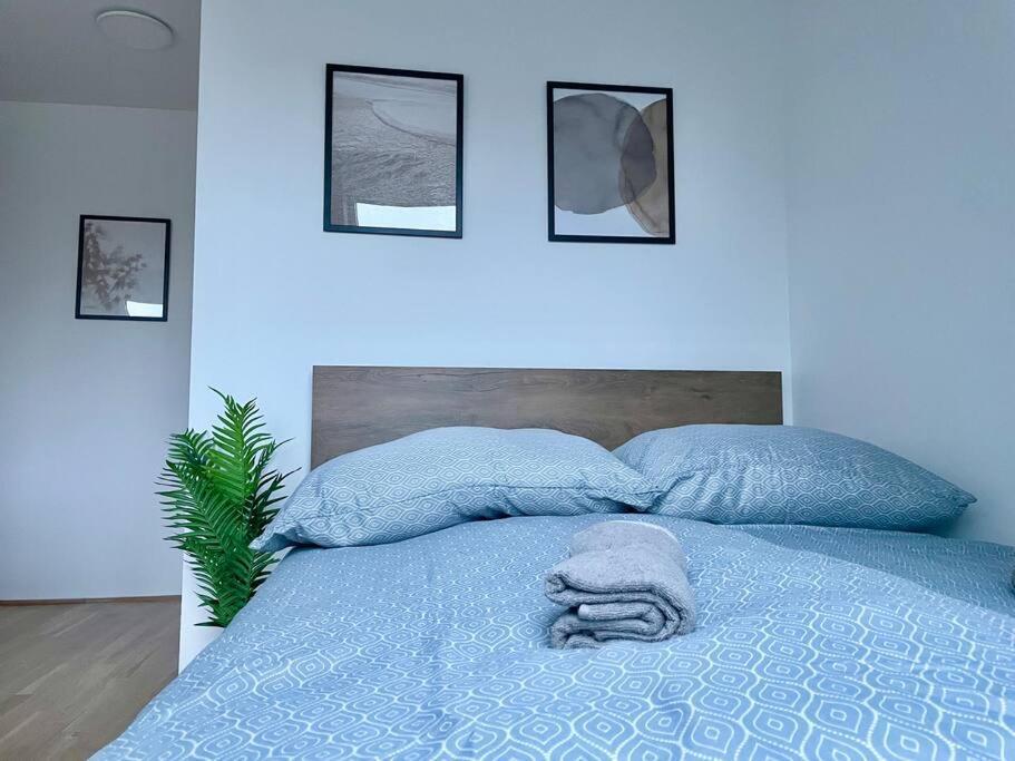 Rooftop Modern With Free Parking