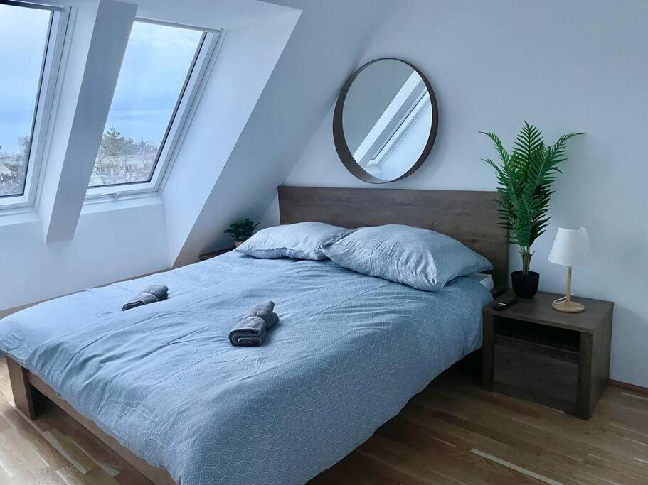 Apartment Rooftop Modern With Free Parking
